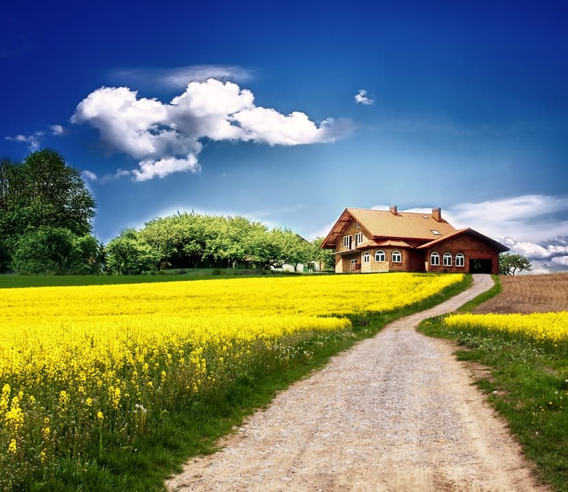 Home on open land