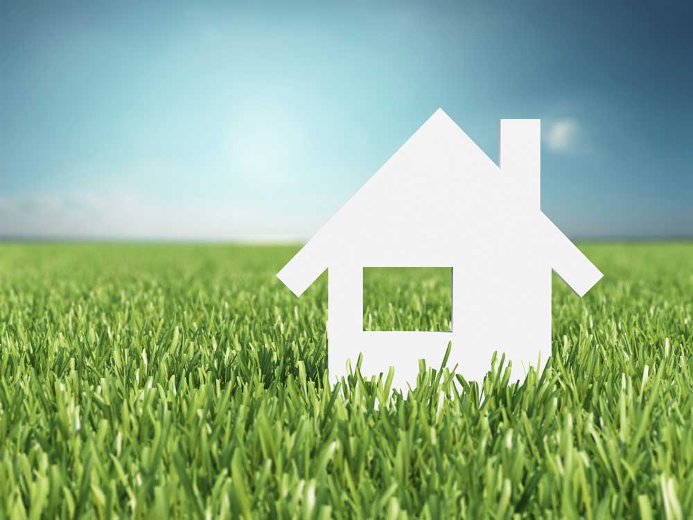 House concept.jpg