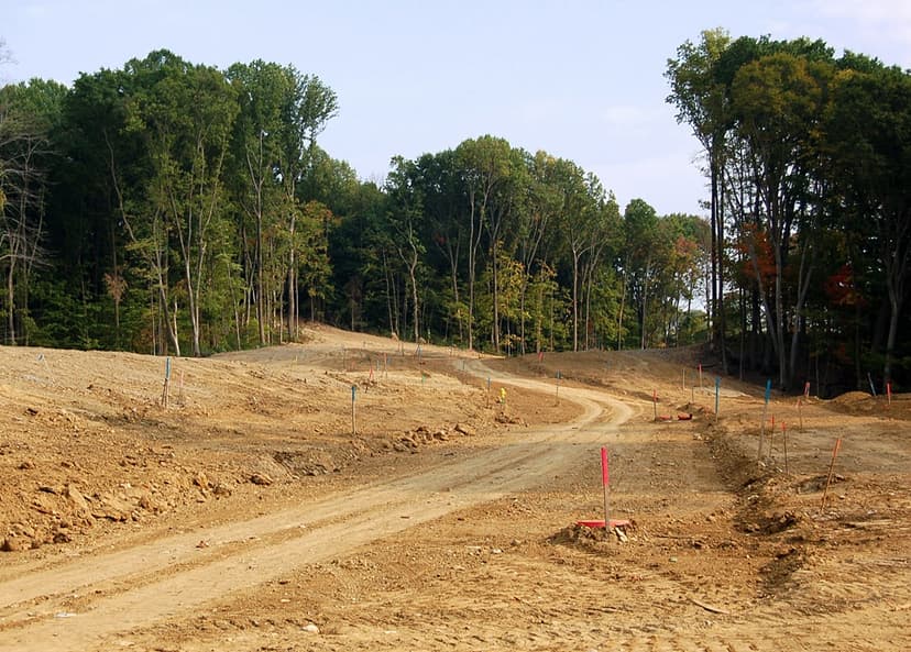 clearing land